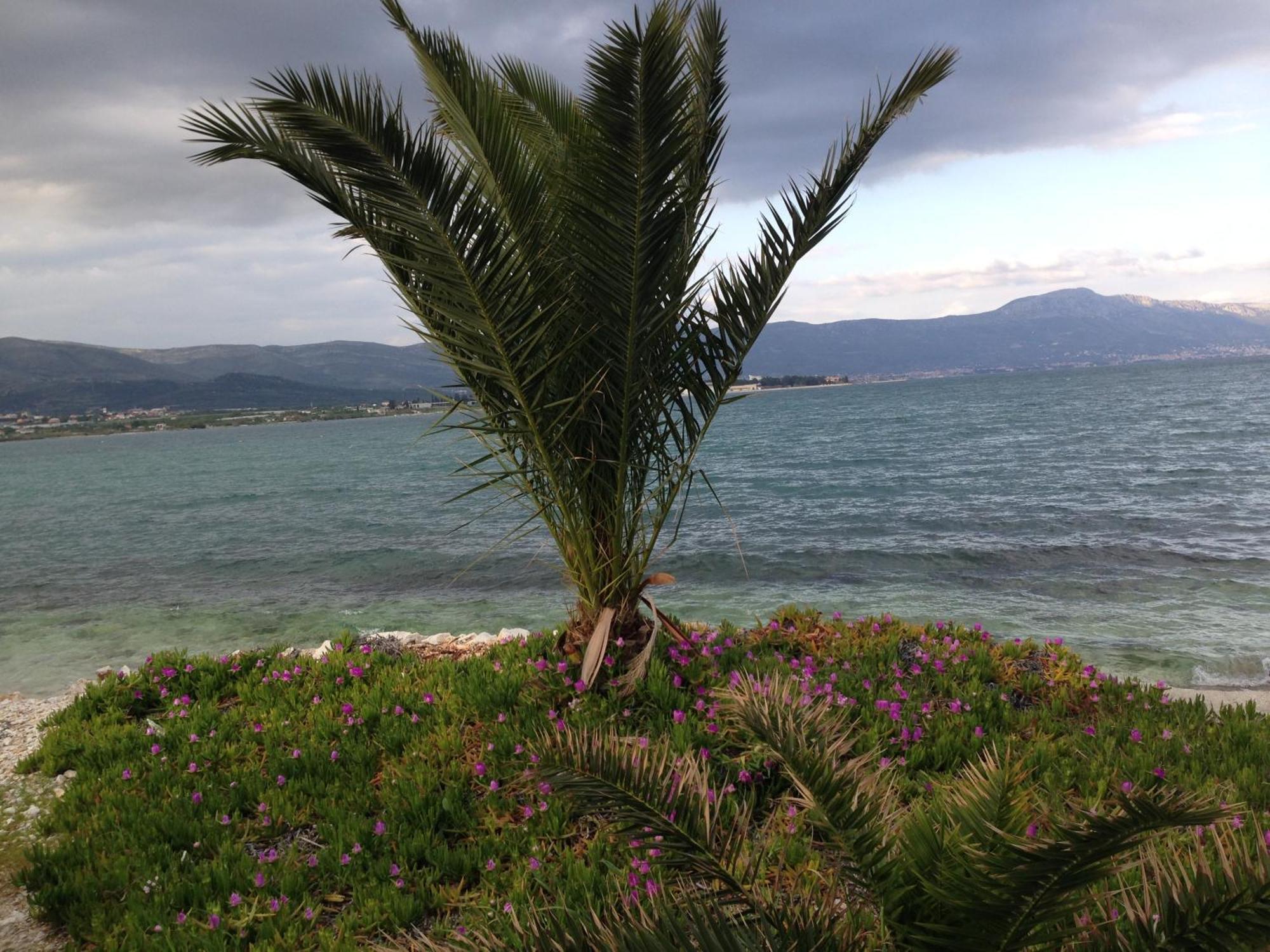 Apartments Exclusive Palace II Trogir Luaran gambar
